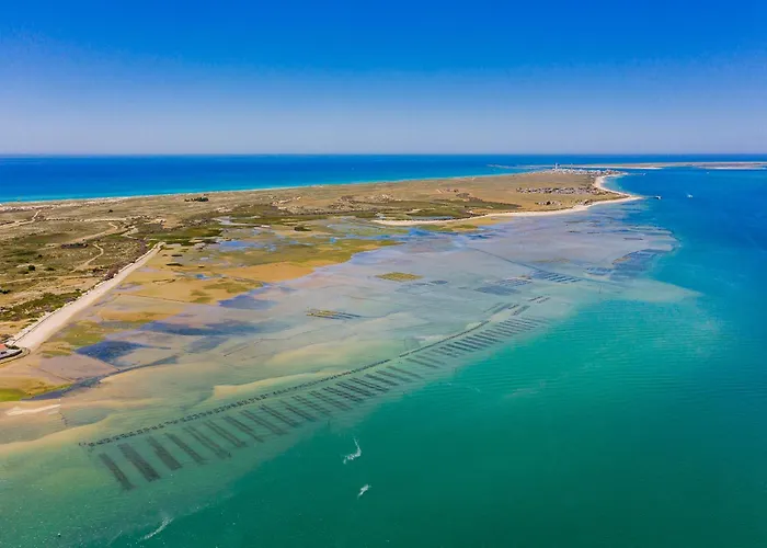 Casa Ramiro I - Paraiso Entre O Mar E A Ria